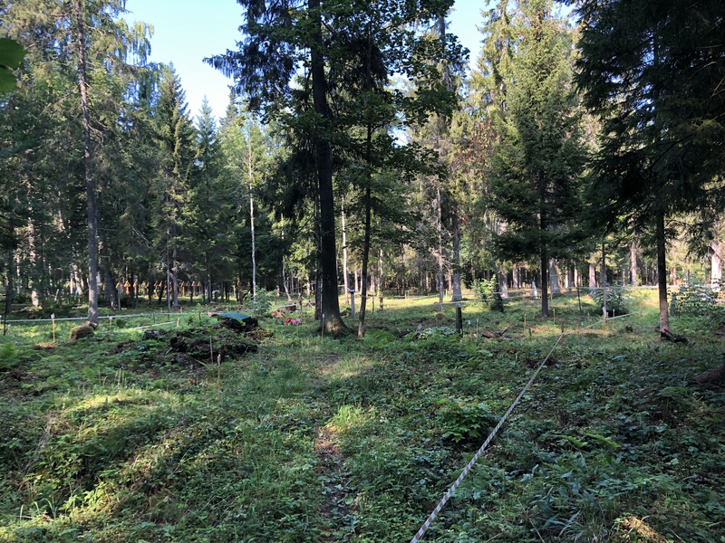 Фотография кладбища